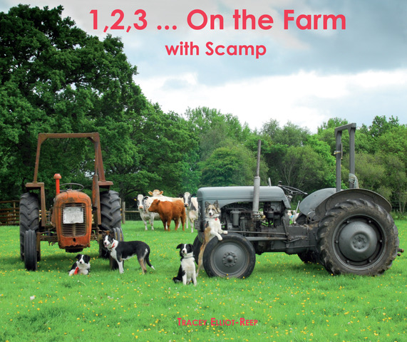 1,2,3, On the Farm by Tracey Elliot-Reep