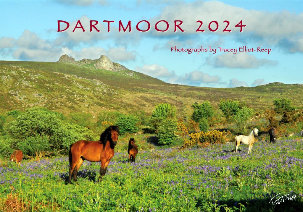 2024 Calendar Front Cover