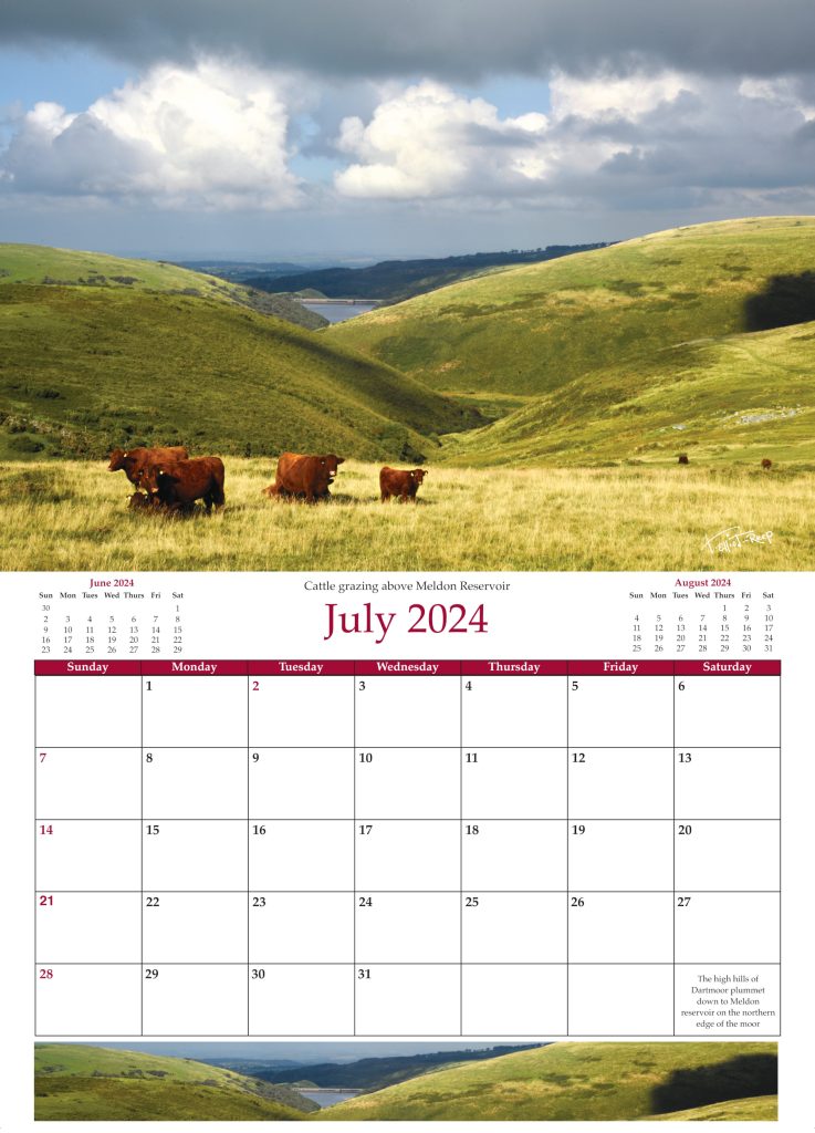 2024 Calendar Page Example
