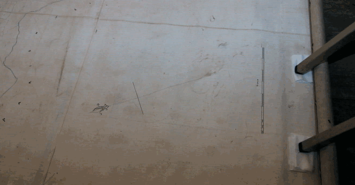 Widecombe Tithe Map North