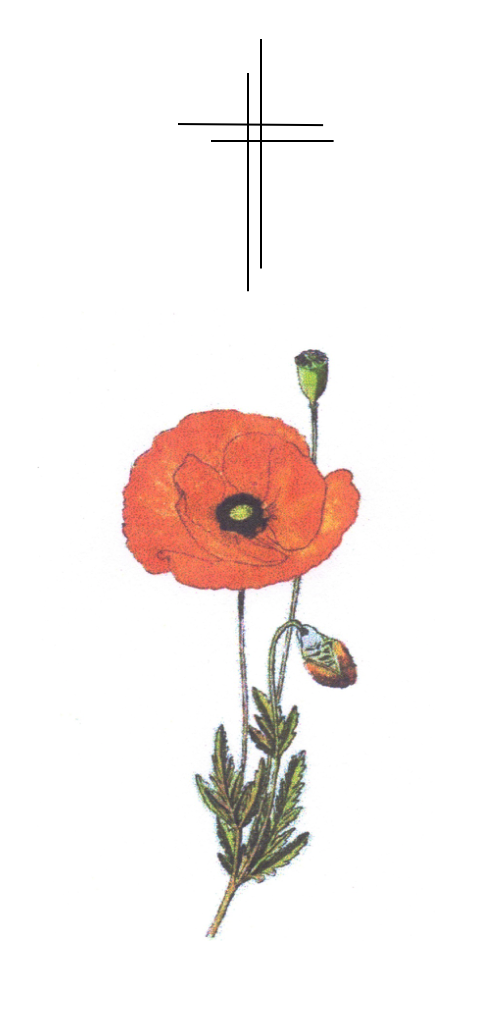 Poppy