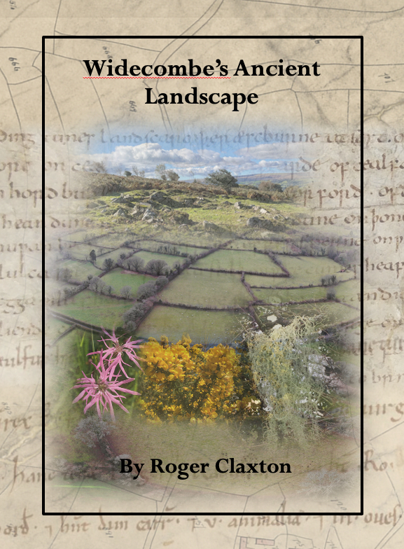 Widecombe’s Ancient Landscape